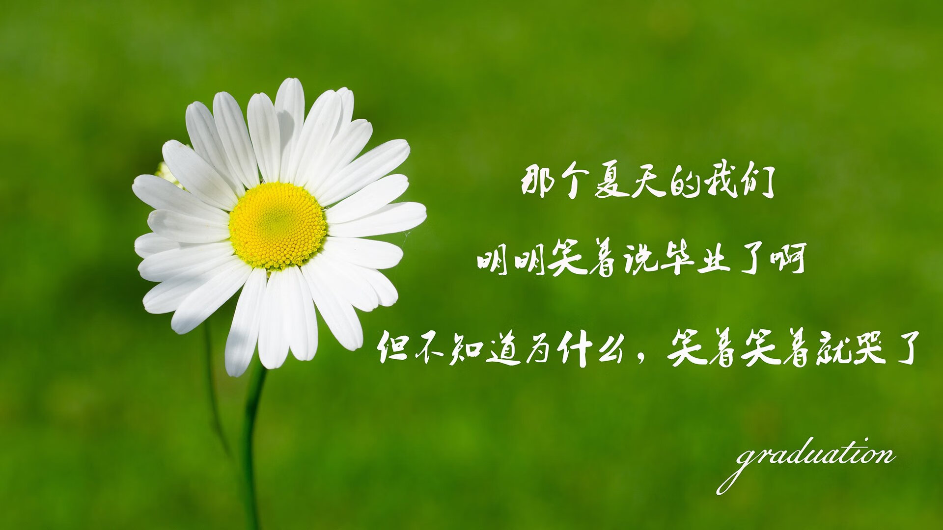 超级马里奥奥德赛新赛季线上锦标赛火力全开，超级马里奥奥德赛新作