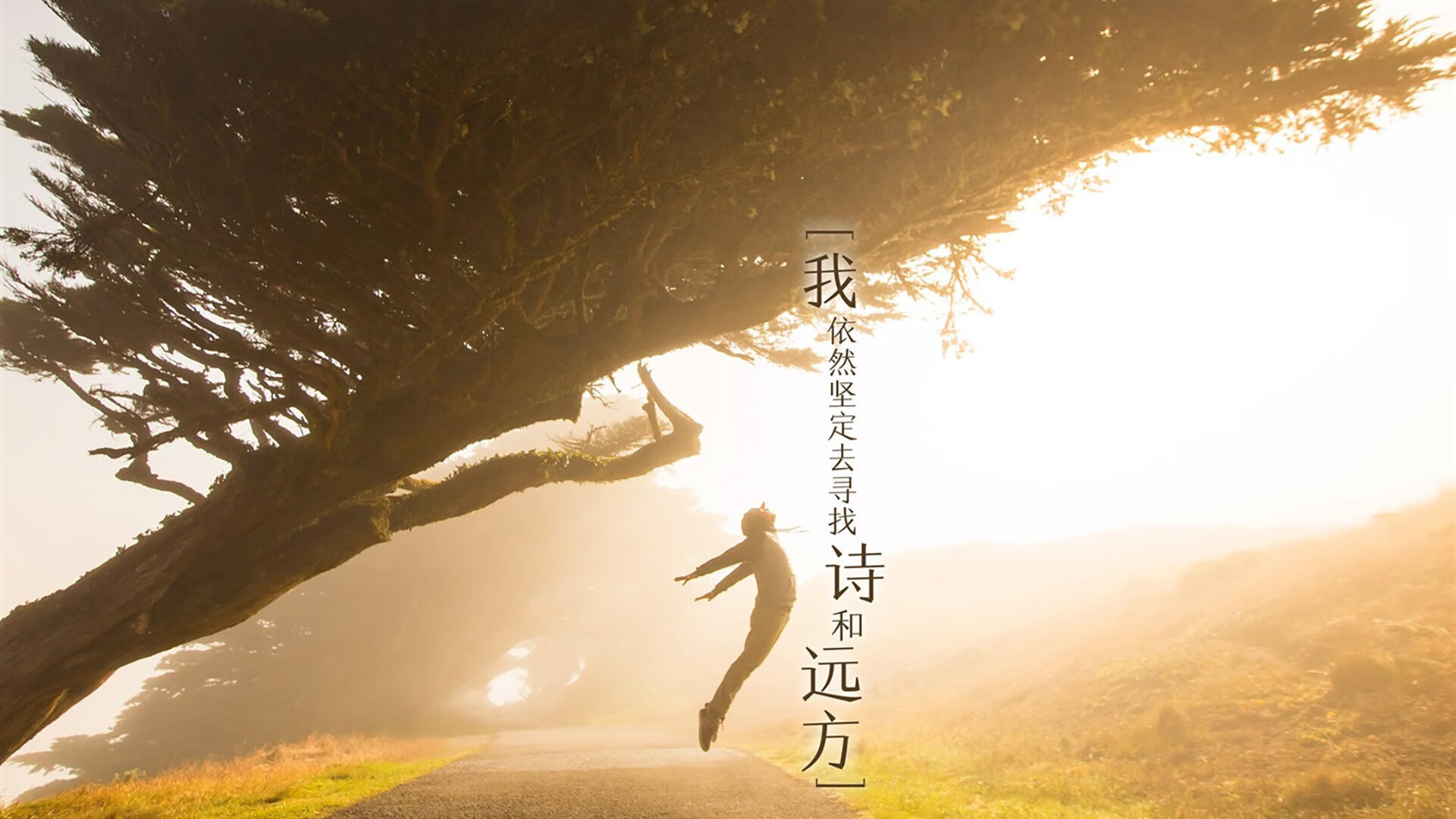 突尼斯篮球联赛赛程紧凑，突尼斯篮球球星