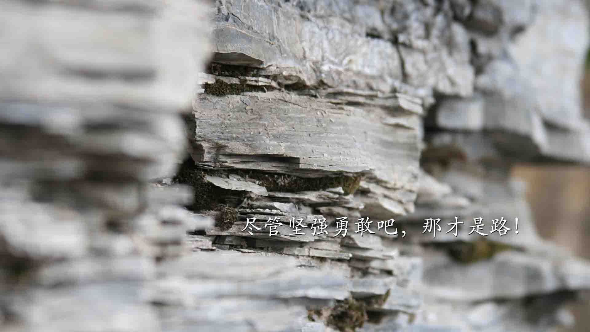 中国青少年篮球推广政策落实与效果评估，全国青少年篮球特色学校标准