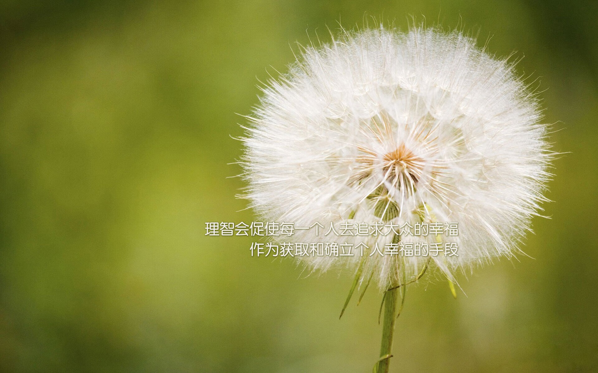 kaiyun网站-欧洲杯战术オ高手：用智慧描绘赛场奇迹，欧洲杯战术分析